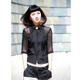 时尚宠儿 吉娃娃的专属衣橱指南